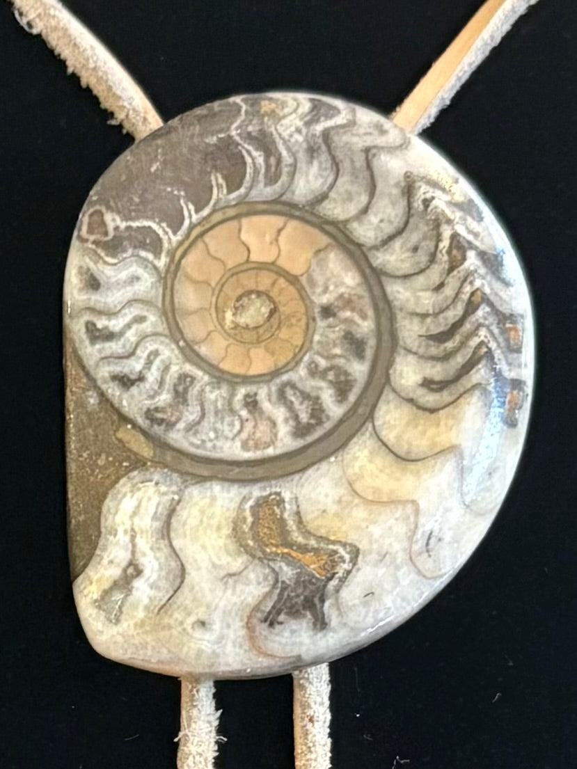 Vintage Ammonite Fossil Western Bolo Tie